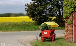 Töpferei Dambeck: Kunst offen